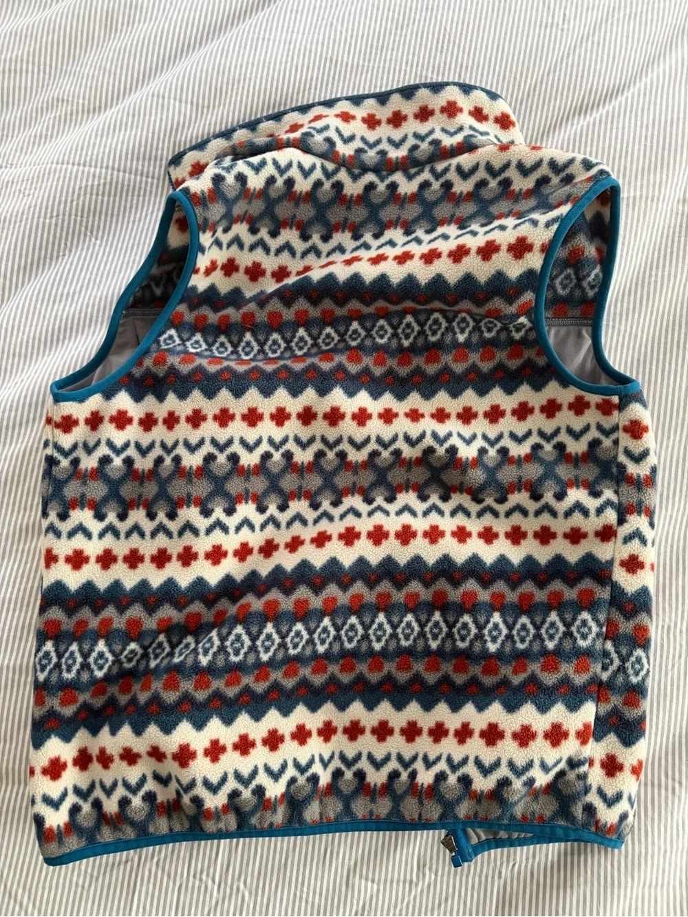 Patagonia Synchilla Fleece Vest